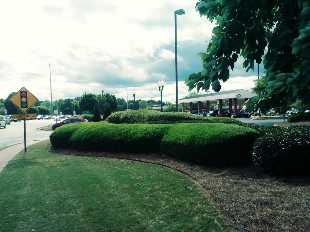 Lush, green commercial lawn and neatly trimmed shrubs in Covington, GA kept healthy with proper irrigation services by Edwards Landscaping