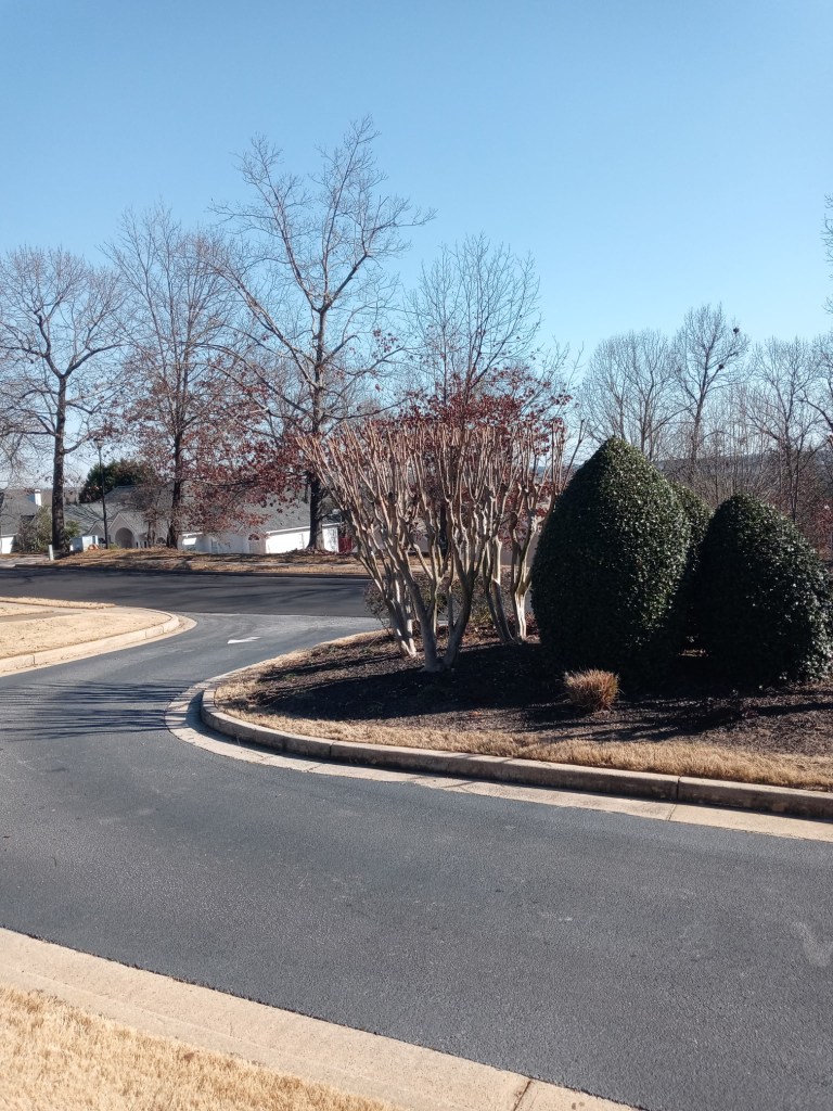 Shaped shrubs and mulched landscaping island at a commercial property entrance in Covington, GA maintained by Edwards Landscaping commercial grounds service
