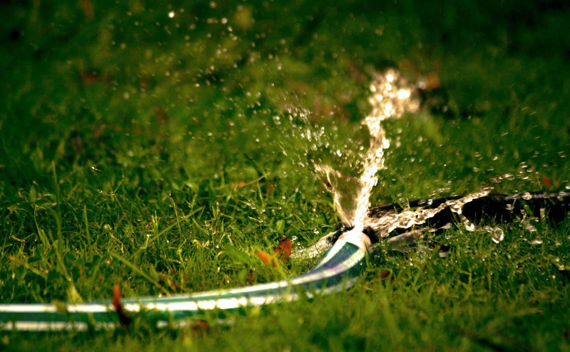 close up photography of water bursting out of hose